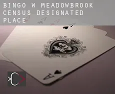 Bingo w Meadowbrook