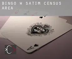 Bingo w  Satim (census area)