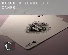 Bingo w Torre del Campo