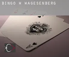 Bingo w  Wagesenberg