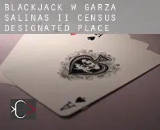 Blackjack w  Garza-Salinas II