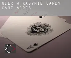 Gier w kasynie  Candy Cane Acres