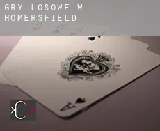 Gry losowe w  Homersfield
