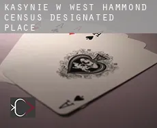 Kasynie w  West Hammond