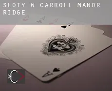 Sloty w  Carroll Manor Ridge