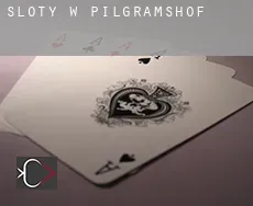 Sloty w Pilgramshof