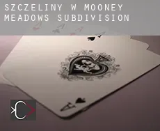 Szczeliny w  Mooney Meadows Subdivision