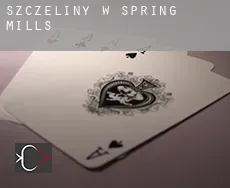 Szczeliny w  Spring Mills