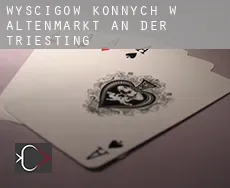 Wyścigów konnych w Altenmarkt an der Triesting