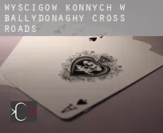 Wyścigów konnych w  Ballydonaghy Cross Roads