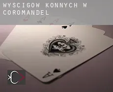 Wyścigów konnych w Coromandel