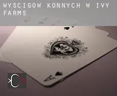 Wyścigów konnych w  Ivy Farms