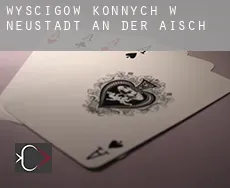 Wyścigów konnych w Neustadt an der Aisch