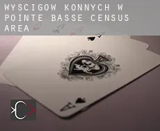 Wyścigów konnych w  Pointe-Basse (census area)