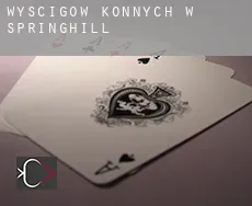 Wyścigów konnych w Springhill