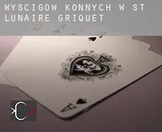 Wyścigów konnych w  St. Lunaire-Griquet