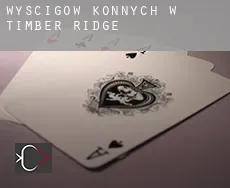 Wyścigów konnych w  Timber Ridge
