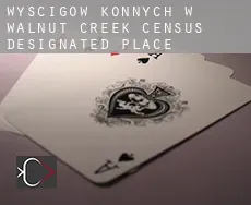 Wyścigów konnych w Walnut Creek
