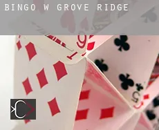 Bingo w Grove Ridge