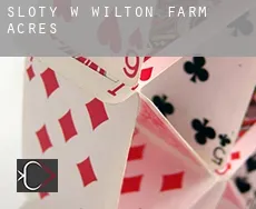 Sloty w  Wilton Farm Acres