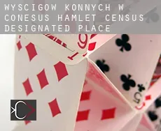 Wyścigów konnych w  Conesus Hamlet