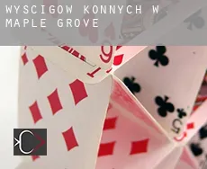 Wyścigów konnych w  Maple Grove
