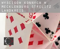 Wyścigów konnych w  Mecklenburg-Strelitz Landkreis