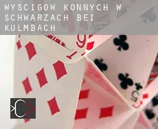 Wyścigów konnych w  Schwarzach bei Kulmbach