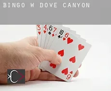 Bingo w Dove Canyon