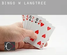 Bingo w  Langtree