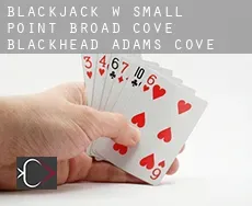 Blackjack w  Small Point-Broad Cove-Blackhead-Adams Cove