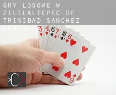 Gry losowe w  Ziltlaltepec de Trinidad Sanchez Santos