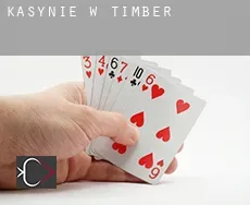 Kasynie w  Timber