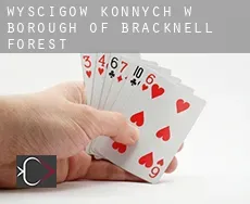 Wyścigów konnych w Bracknell Forest (Borough)