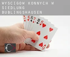 Wyścigów konnych w Siedlung Büblingshausen