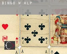 Bingo w Alp