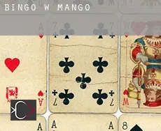 Bingo w Mango