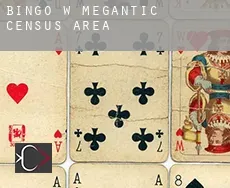 Bingo w  Mégantic (census area)