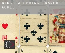 Bingo w  Spring Branch Acres