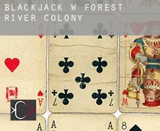 Blackjack w Forest River Colony