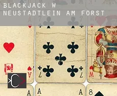 Blackjack w  Neustädtlein am Forst