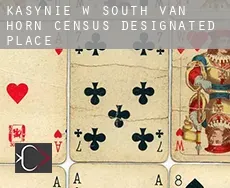 Kasynie w  South Van Horn