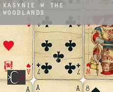 Kasynie w  The Woodlands