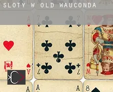 Sloty w Old Wauconda