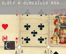 Sloty w Olmedillo de Roa