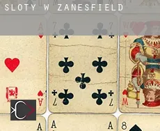 Sloty w  Zanesfield