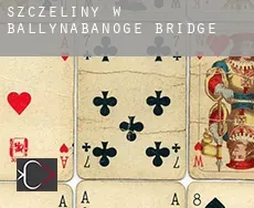 Szczeliny w Ballynabanoge Bridge