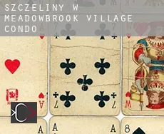 Szczeliny w Meadowbrook Village Condo