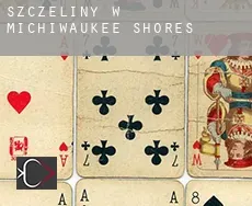 Szczeliny w  Michiwaukee Shores