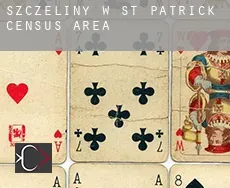 Szczeliny w  St. Patrick (census area)